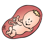 பிறந்த தேதி பலன் 